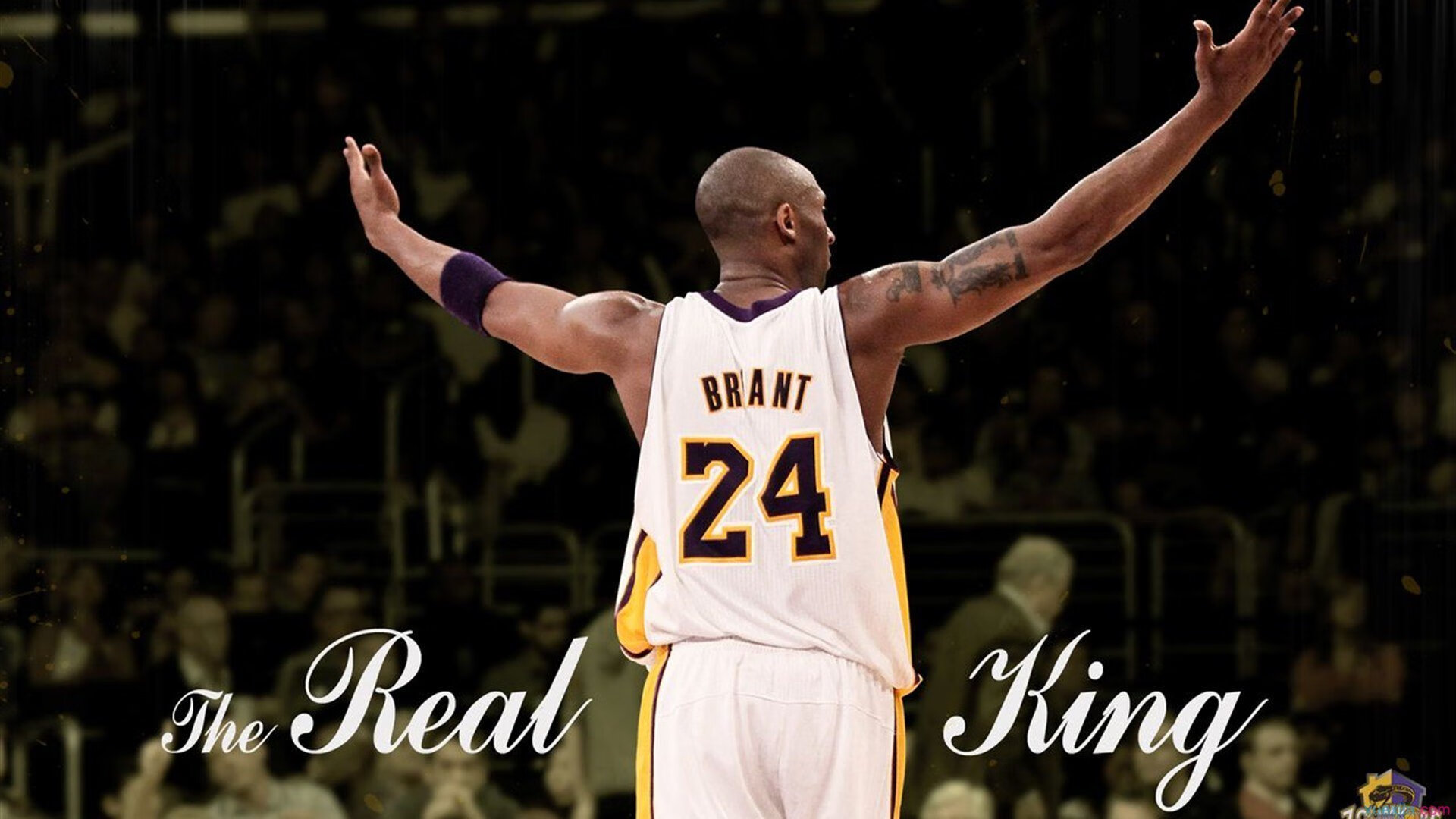 凯蒂·莱德基以绝对优势摘金，凯蒂·莱德茨基